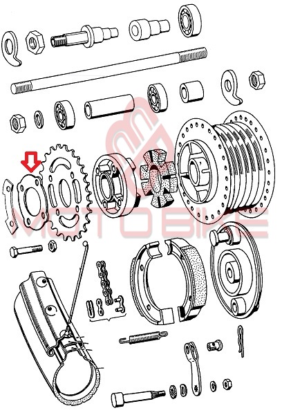 Sprocket fuse tomos a3. a35. apn one-piece