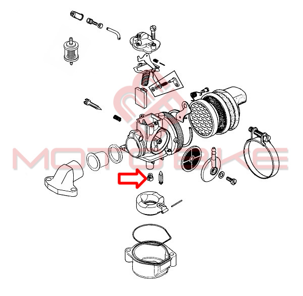 Dizna tomos dellorto fi 0,51 mm or