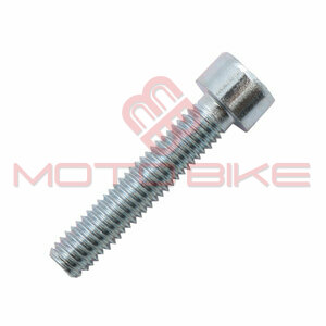 Vijak  inbus m6x30mm